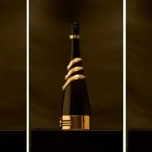 Água feita na Amazônia será leiloada por R$ 5 milhões Água feita na Amazônia será leiloada por R$ 5 milhões