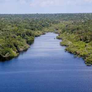 Organizações sociais exigem voz nas decisões da COP16 organizações