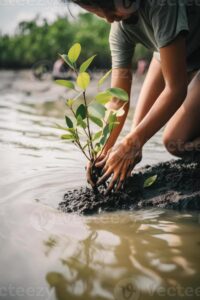 22210549 restaurando a litoral comunidade noivado dentro plantio manguezais para meio ambiente conservacao e habitat restauracao em terra dia promovendo sustentabilidade terra dia foto