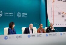 COP29: Marina reforça necessidade de avanço sobre financiamento Marina
