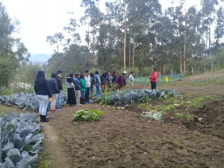 Encontro Nacional Debate Agroecologia Indígena