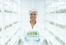 Agropalma amplia investimento em inovação e prevê produzir 2 milhões de mudas clonais de palma por ano a partir de 2026 A clonagem de mudas de palma da companhia é fruto de um trabalho de pesquisa de mais de uma década