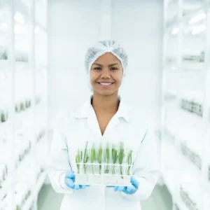 Agropalma amplia investimento em inovação e prevê produzir 2 milhões de mudas clonais de palma por ano a partir de 2026 A clonagem de mudas de palma da companhia é fruto de um trabalho de pesquisa de mais de uma década