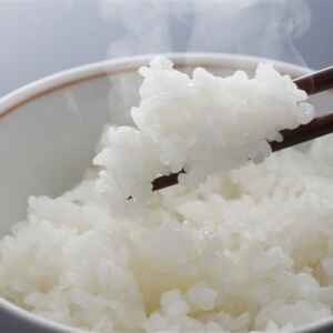 Plástico de arroz: Futuro sustentável de Niigata, unindo história e inovação arroz