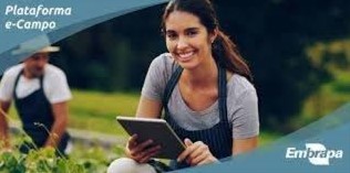 Curso EAD destaca importância dos sistemas agroflorestais na Amazônia 1 Captura de tela 1111 2024 11 07 142131 1