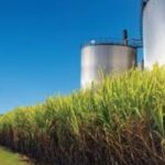 Cientistas desvendam microbioma de usinas de etanol para melhorar eficiência e reduzir CO2 microbioma