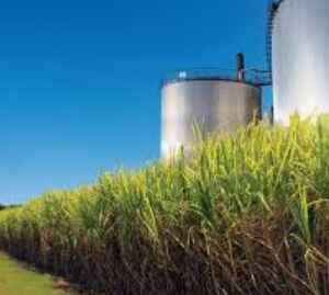 Cientistas desvendam microbioma de usinas de etanol para melhorar eficiência e reduzir CO2 microbioma