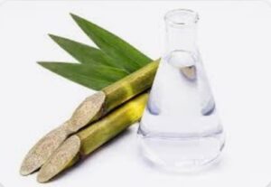 Captura de tela 2024 11 05 172754