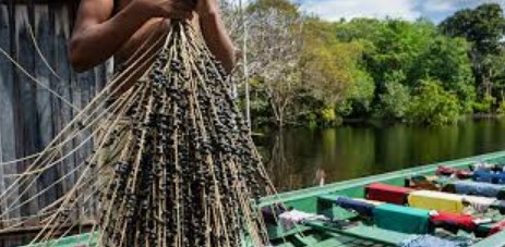 Captura de tela 2024 11 05 184633