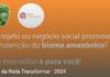 Rede Transformar abre inscrições para nova seleção de projetos de proteção do bioma Amazônico projetos