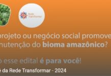 Rede Transformar abre inscrições para nova seleção de projetos de proteção do bioma Amazônico projetos