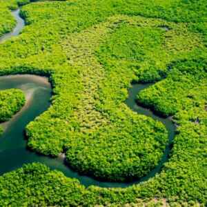 Investimentos do BNDES na Amazônia Legal ultrapassaram a marca de R$ 10 bilhões em 2024 bndes