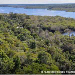 Desmatamento na Amazônia cai 30,6% em um ano, aponta Inpe Amazônia