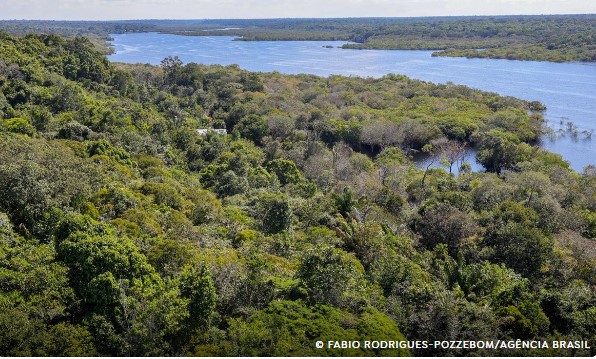 Amazônia