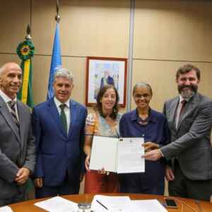 Investimentos ampliam combate ao desmatamento e recuperação de áreas degradadas na Amazônia desmatamento