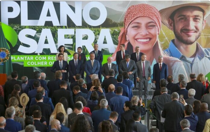 Captura de tela 2024-11-08 194624 plano