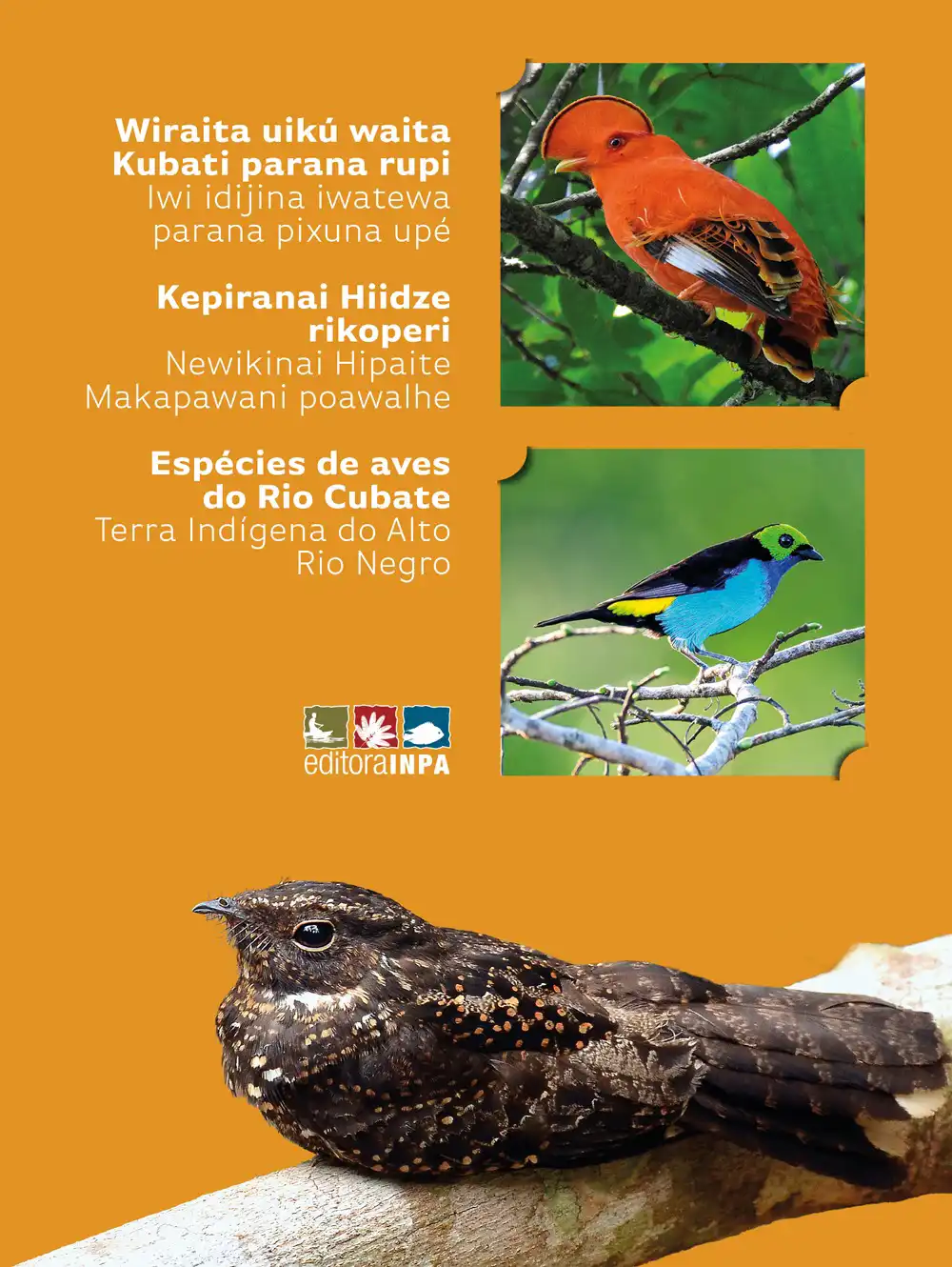 Espécies de aves do Rio Cubate: Terra Indígena do Alto Rio Negro 