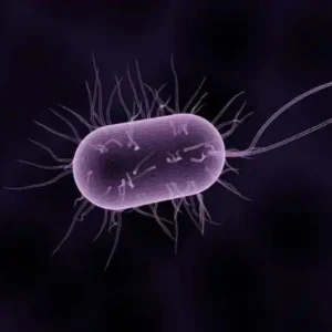 Soluções microbianas devem ser implementadas contra a catástrofe climática Imagine um mundo onde dispositivos eletrônicos são alimentados por organismos vivos e biodegradam após o uso, eliminando o problema do lixo eletrônico. É uma área de pesquisa real e crescente conhecida como bioeletrônica