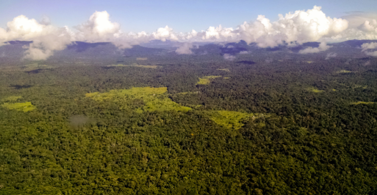 Mercado de Carbono: Potencial Bilionário no Brasil