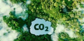 Captura de Carbono