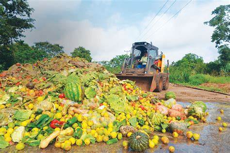 ONU destaca que 30% da produção é descartada