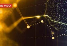 Flutuações no Ibovespa e Taxas de Câmbio do Dólar e Euro: Entenda o Interesse do Mercado Flutuações no Ibovespa