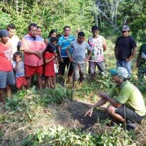 Encontro nacional debate agroecologia indígena Encontro Nacional Debate Agroecologia Indígena