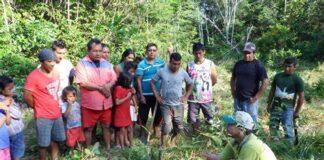 Encontro Nacional Debate Agroecologia Indígena