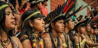 Governo Federal garante 30% das vagas dos concursos públicos da Funai