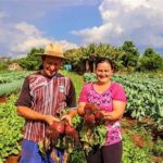 G20 Social: Agricultura Familiar Ganha Destaque no Combate à Fome e às Mudanças Climáticas G20: Agricultura Familiar no Combate à Fome
