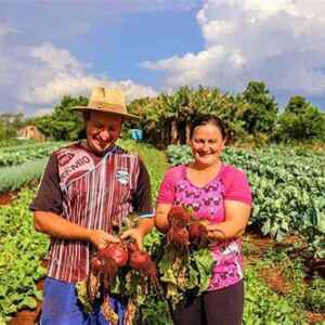 G20 Social: Agricultura Familiar Ganha Destaque no Combate à Fome e às Mudanças Climáticas G20: Agricultura Familiar no Combate à Fome
