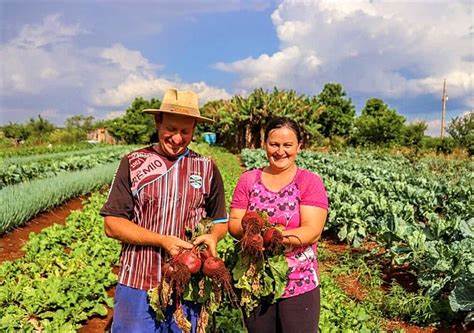 G20: Agricultura Familiar no Combate à Fome