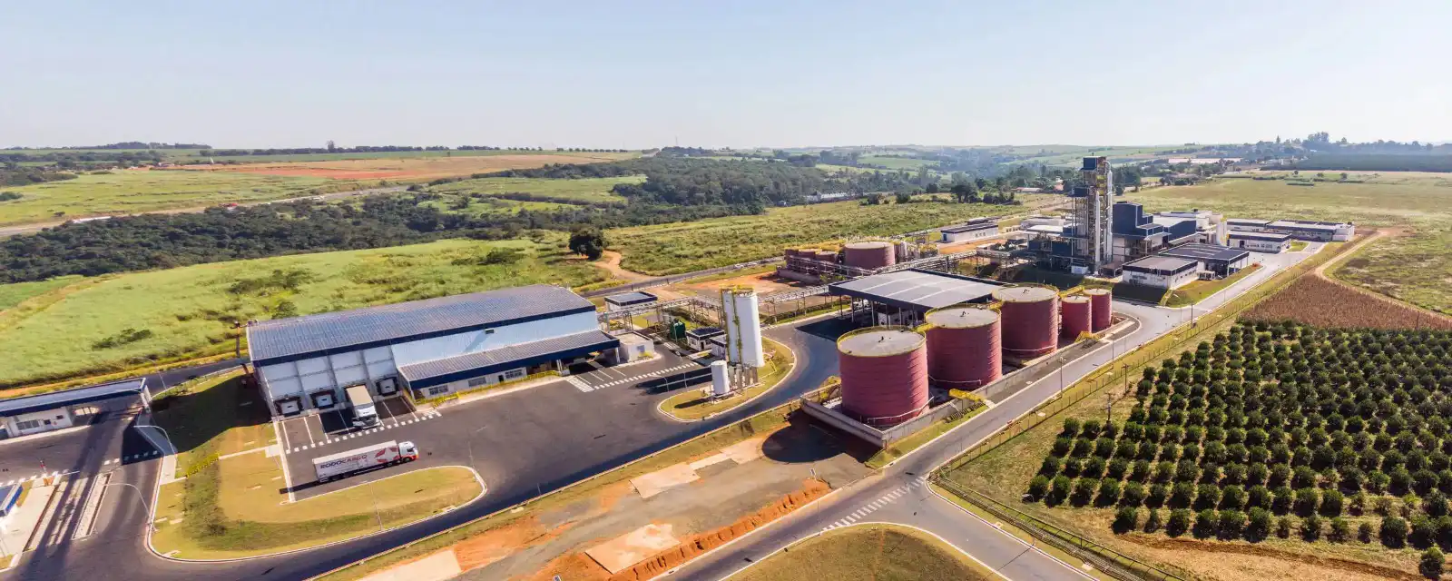 Planta-industrial-da-Agropalma-em-Belem-PA Agropalma amplia investimento em inovação e prevê produzir 2 milhões de mudas clonais de palma por ano a partir de 2026