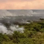 Brasil reduz em 12% emissões de gases do efeito estufa em 2023 Queimadas de pasto e vegetação nativa (não são contabilizadas como desmatamento), caíram 38% e 7% em 2023