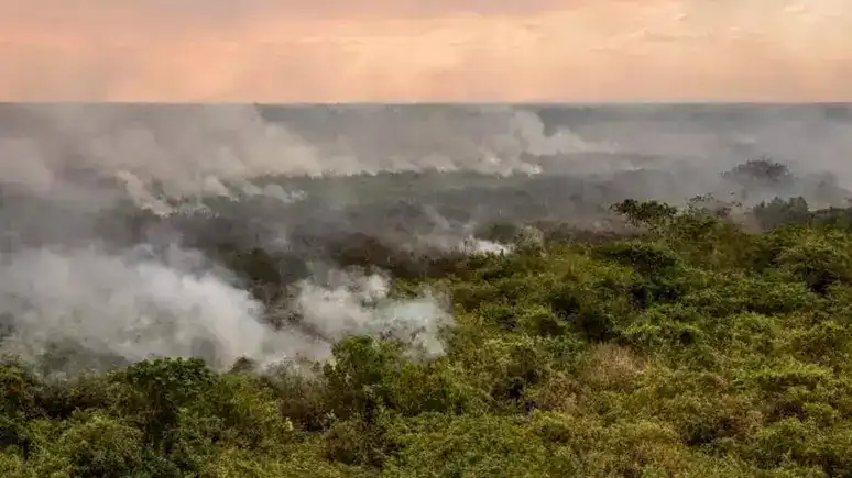 Queimadas de pasto e vegetação nativa (não são contabilizadas como desmatamento), caíram 38% e 7% em 2023