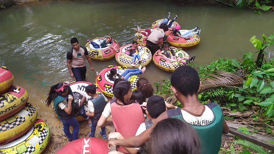 Aproveite o feriado da Proclamação da República nos parques estaduais do Pará, com diversas atividades de lazer.