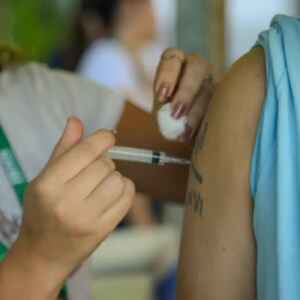 InfoGripe alerta sobre casos de rinovírus no Norte e Nordeste InfoGripe