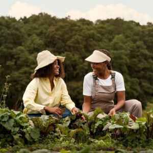 Inovação no Crédito e Assistência Técnica Impulsiona Sustentabilidade na Amazônia credito