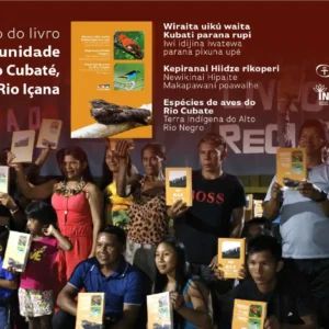 Inpa lança livro com registros de 310 espécies de aves que ocorrem em Terra Indígena do Alto Rio Negro novo livro