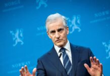 Noruega doa US$ 60 milhões ao Fundo Amazônia por progresso no combate ao desmatamento Amazônia