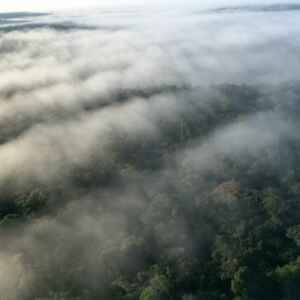 Descoberta a “Máquina de Nuvens”: O papel da Amazônia na formação de chuvas e clima global Amazônia