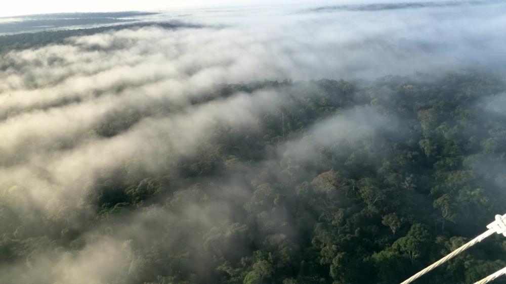 Amazônia