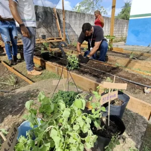Artigo 4: Tecnologia e Tradição: A Simbiose Perfeita no PROMED