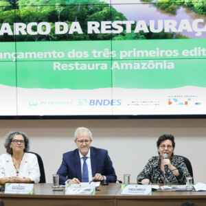MMA e BNDES lançam os primeiros editais para restauração da Amazônia MMA
