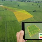 Tecnologias digitais impulsionam a produtividade agrícola e reduzem impactos ambientais tecnologias