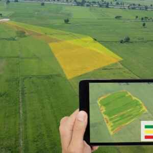 Tecnologias digitais impulsionam a produtividade agrícola e reduzem impactos ambientais tecnologias