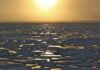 Ártico pode ficar sem gelo no verão de 2027: impactos no clima, navegação e vida selvagem Ártico