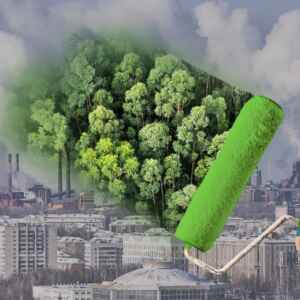 Disputas de projetos de carbono na Amazônia levantam preocupações sobre transparência projetos