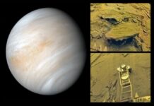 Mudanças climáticas em Vênus oferecem lições cruciais para a Terra vênus