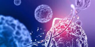 Doutoranda da USP recebe prêmio de "Melhor Apresentação Oral" em simpósio internacional